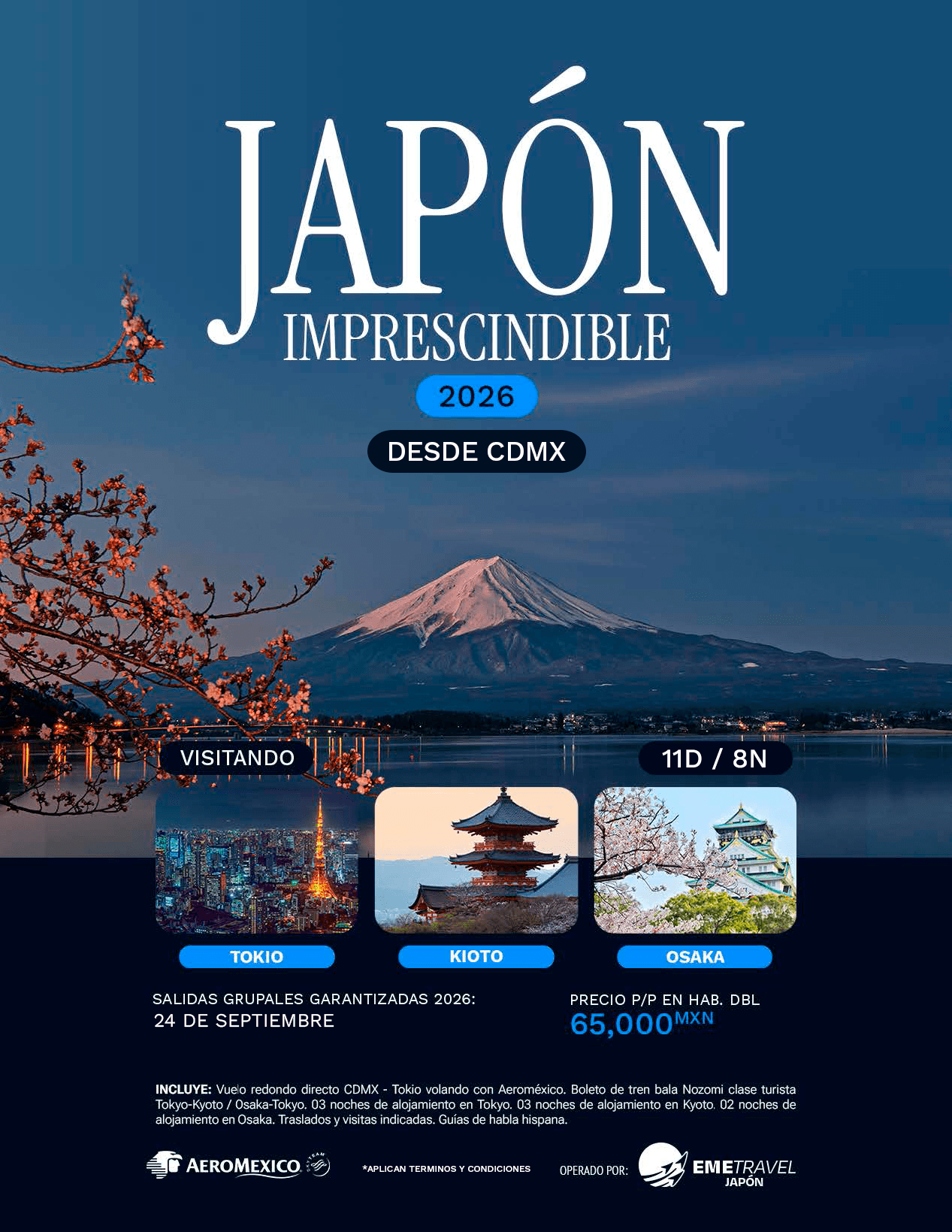 Japón Imprescindible