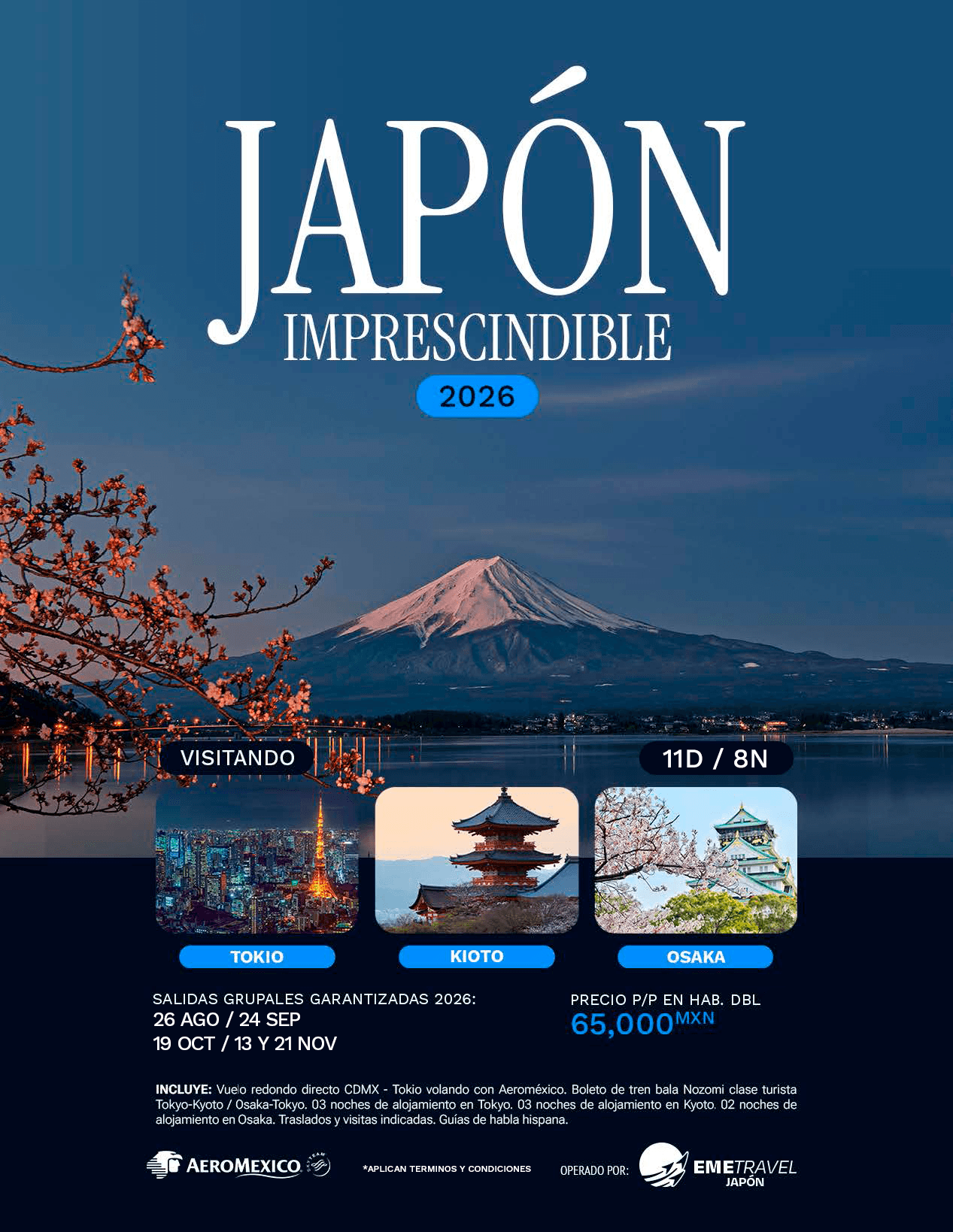 Japón Imprescindible